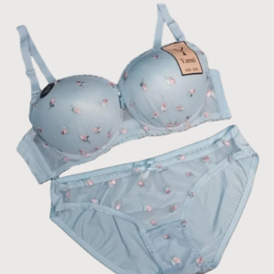 SkyLift Azure PushUp Bra
